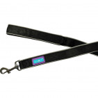 DL4213